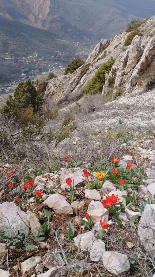 Chimgan Cottage house מראה חיצוני תמונה